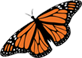 baterfly